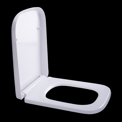 Stainless Steel Hinges Take Off Wc Sitz High Level Quality European Standard Designer Toilet Seats