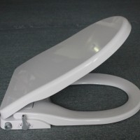 D shape non-electronic bidet toilet seat cover