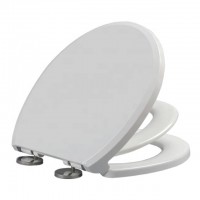 Take off Slow Close Quick Release PP NextStep Child Adult Toilet Seat