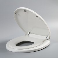 sanitary toilet seat